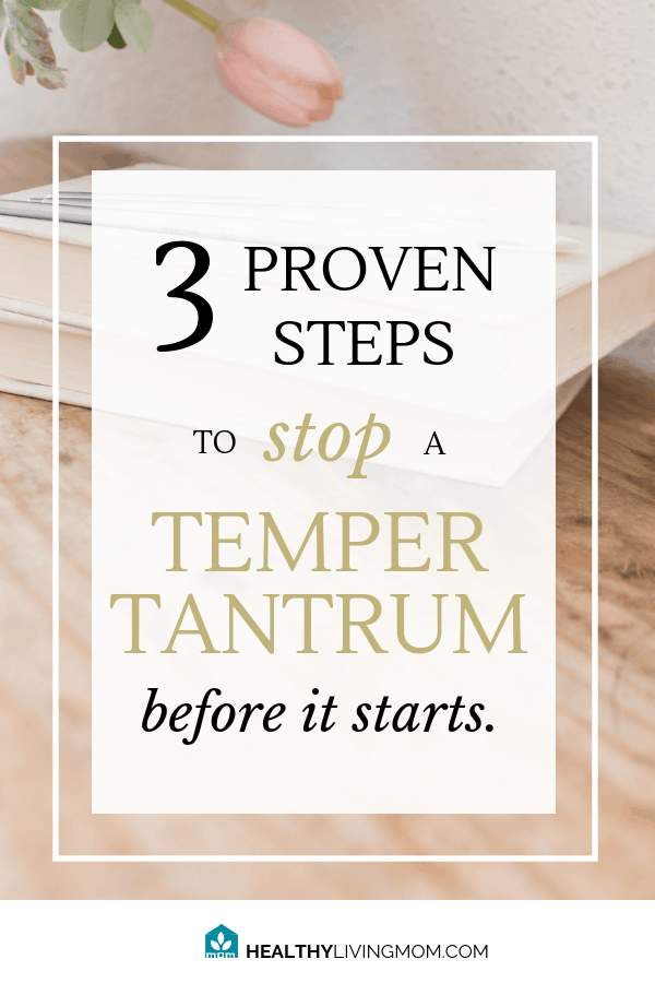 3 Proven Steps to Stop a Temper Tantrum Before It Starts 3 3 Proven Steps to Stop a Temper Tantrum Before It Starts 2