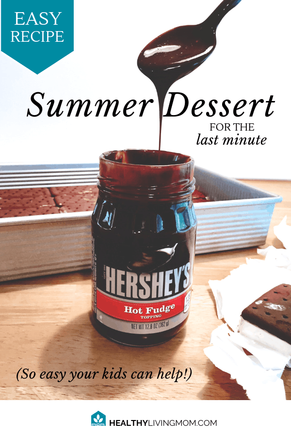 Easy Summer Dessert Recipe for the Last Minute Planner 2 Easy Summer Dessert Recipe - for the last minute planner!
